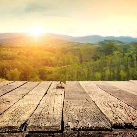 Mountain - Bergzauber *